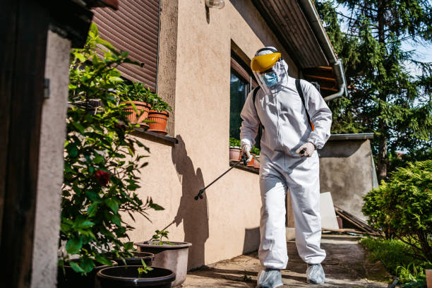 Best Termite Control Services  in Levelland, TX