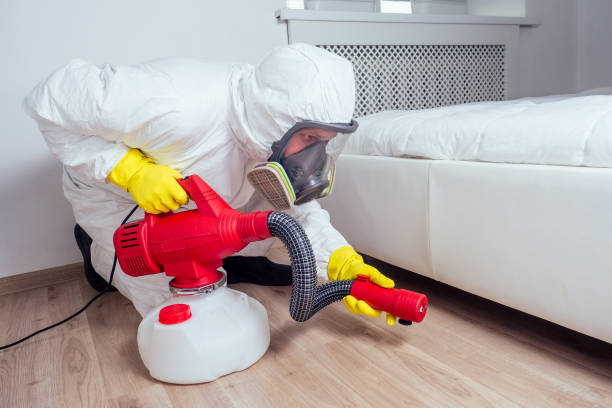 Best Pest Control Near Me  in Levelland, TX