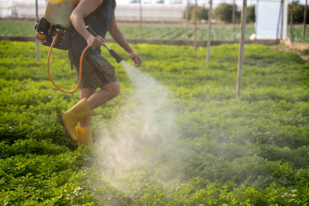Best Pest Inspection Near Me  in Levelland, TX